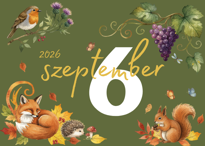 2026 09 06 részvételi díj